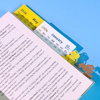 D.Castle (Con la luce & Calendario 2026)