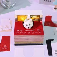 Zaino per cuccioli (con luce) & Calendario 2026)